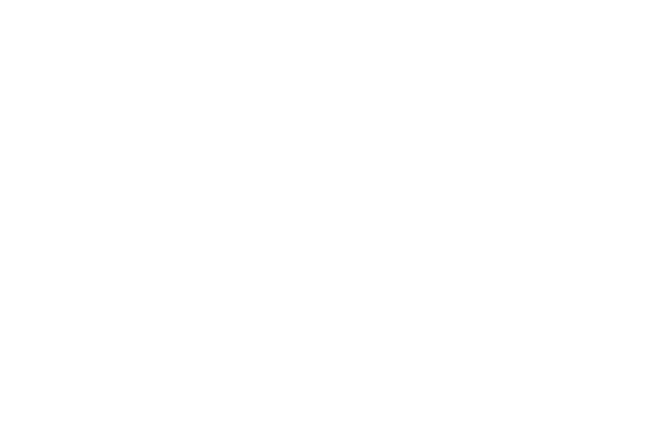Transform, Elevate, Conquer DIGI INNOVATORS